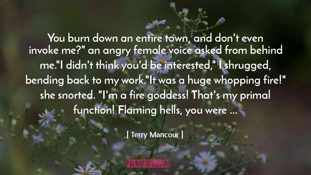 Back In My Life quotes by Terry Mancour