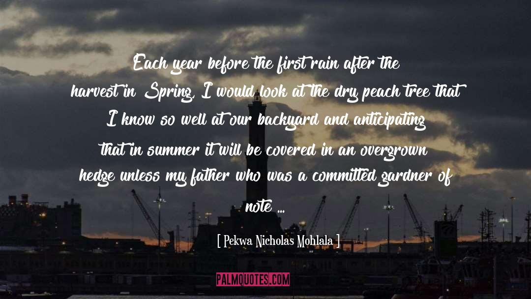 Back In My Life quotes by Pekwa Nicholas Mohlala