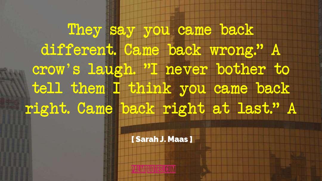 Back Talker quotes by Sarah J. Maas