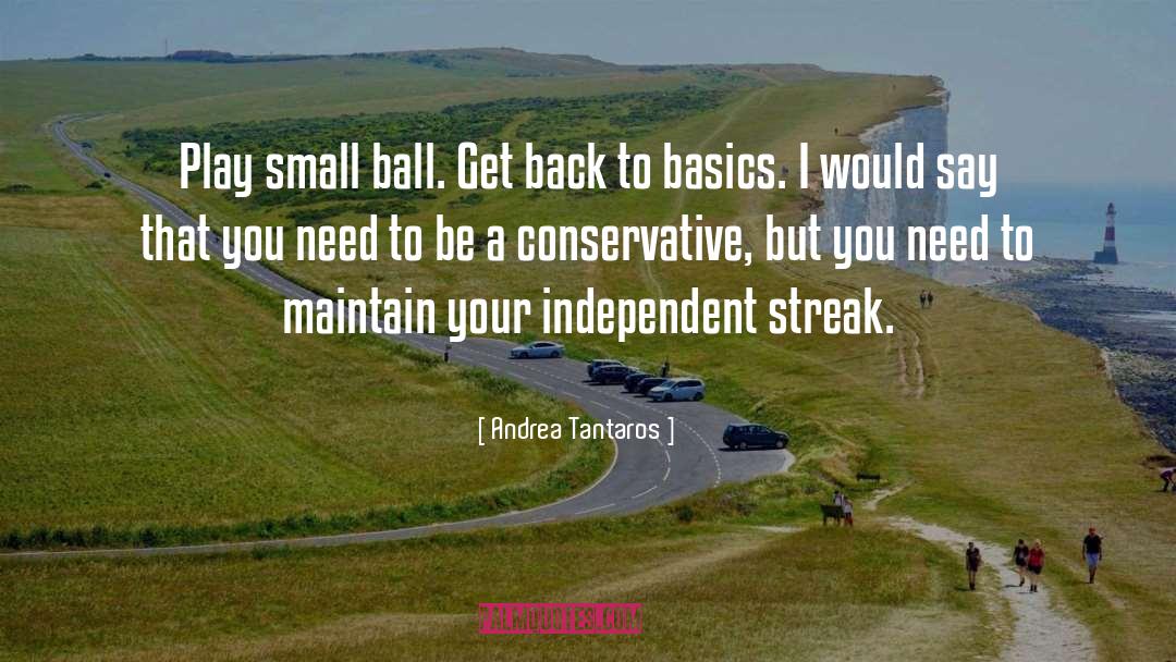 Back To Basics quotes by Andrea Tantaros