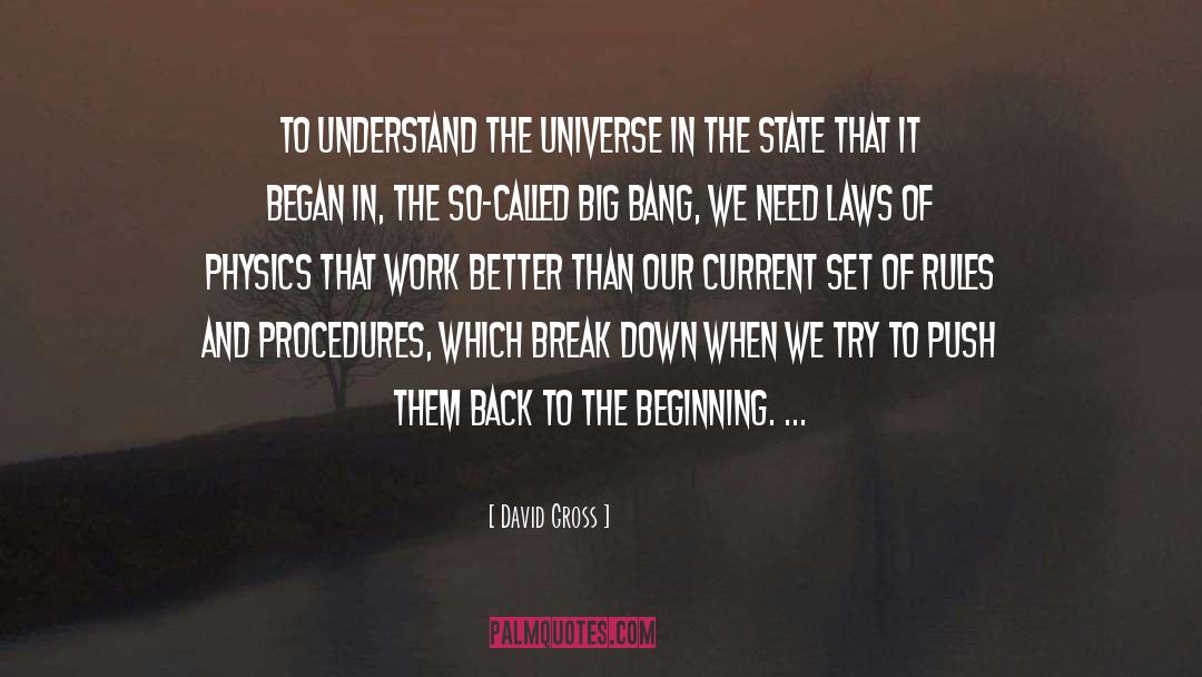 Back To The Beginning quotes by David Gross