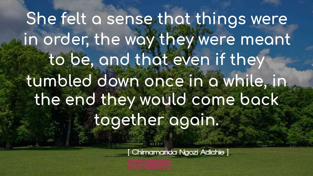 Back Together Again quotes by Chimamanda Ngozi Adichie