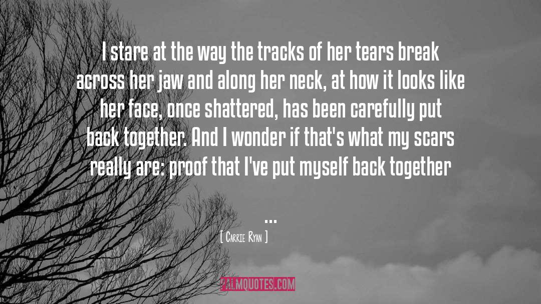 Back Together Again quotes by Carrie Ryan