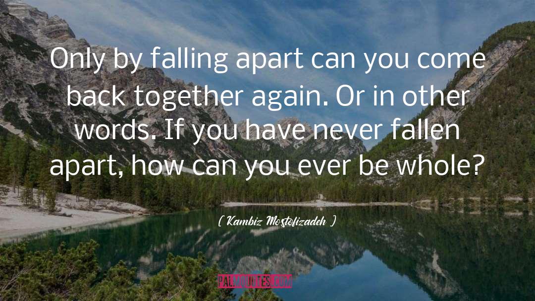 Back Together Again quotes by Kambiz Mostofizadeh