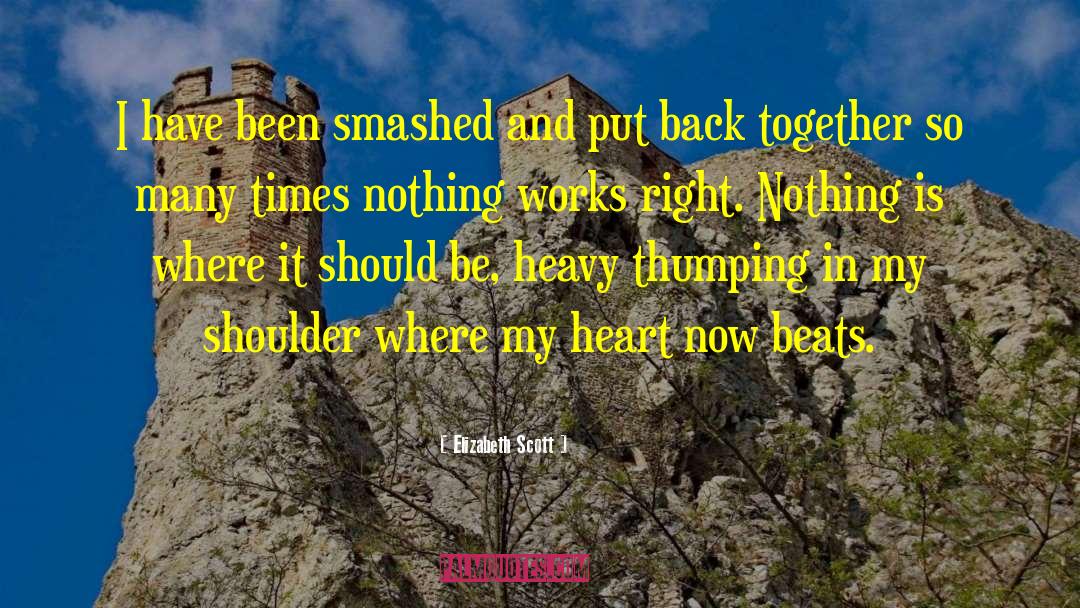 Back Together quotes by Elizabeth Scott