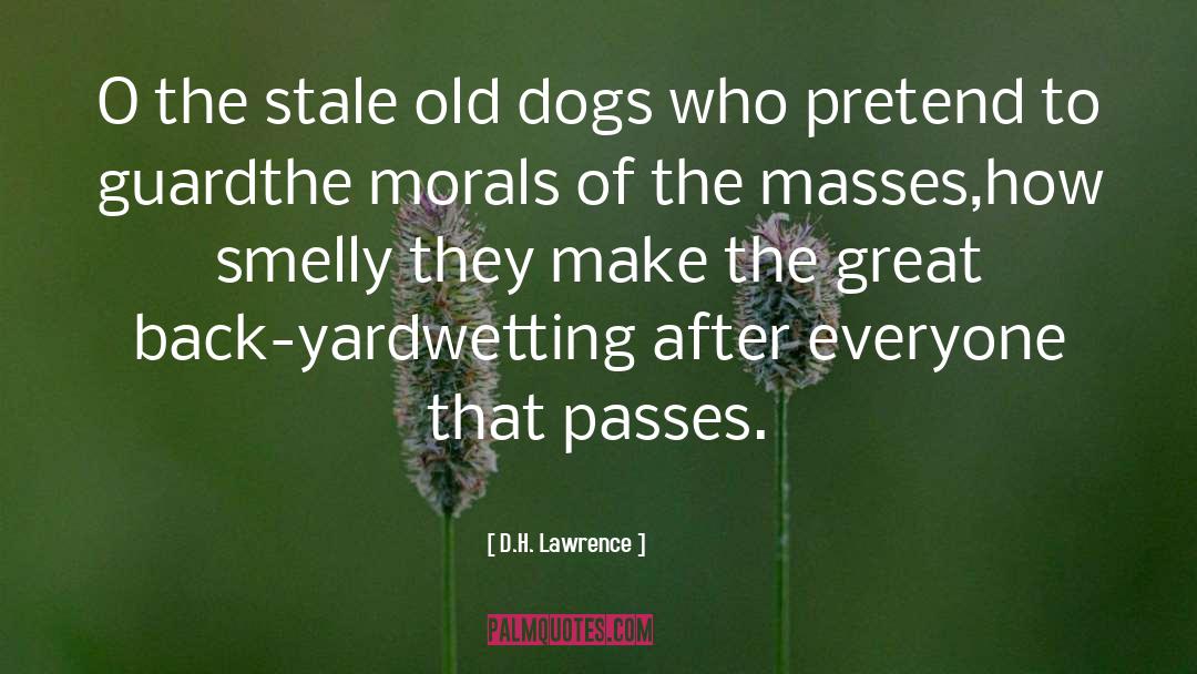 Back Yard quotes by D.H. Lawrence