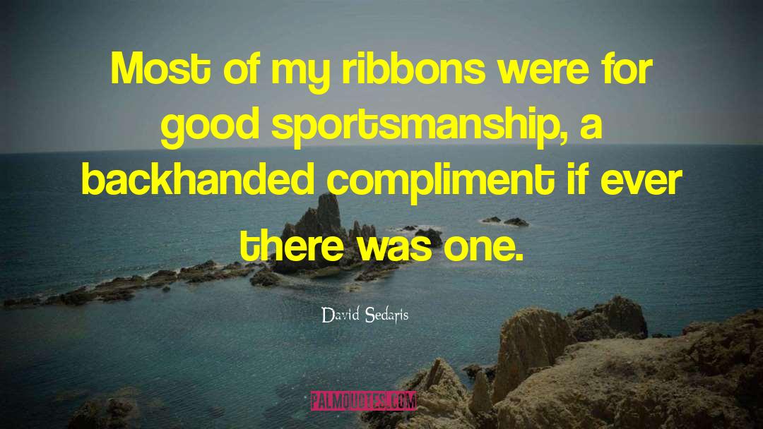 Backhanded Compliment quotes by David Sedaris