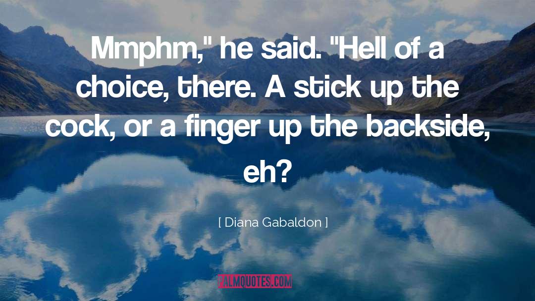 Backside quotes by Diana Gabaldon