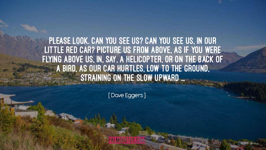 Backside quotes by Dave Eggers