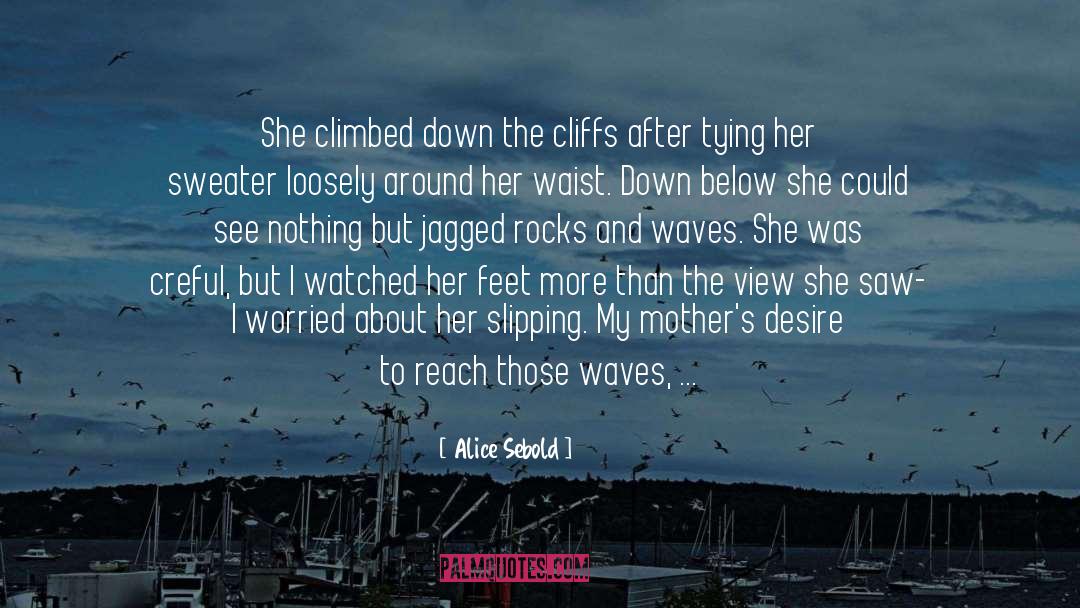 Backsides On The Beach quotes by Alice Sebold