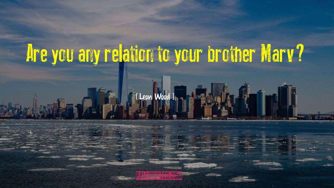 Backstabbing Brother quotes by Leon Wood