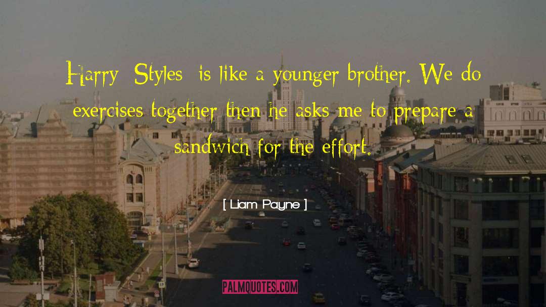 Backstabbing Brother quotes by Liam Payne