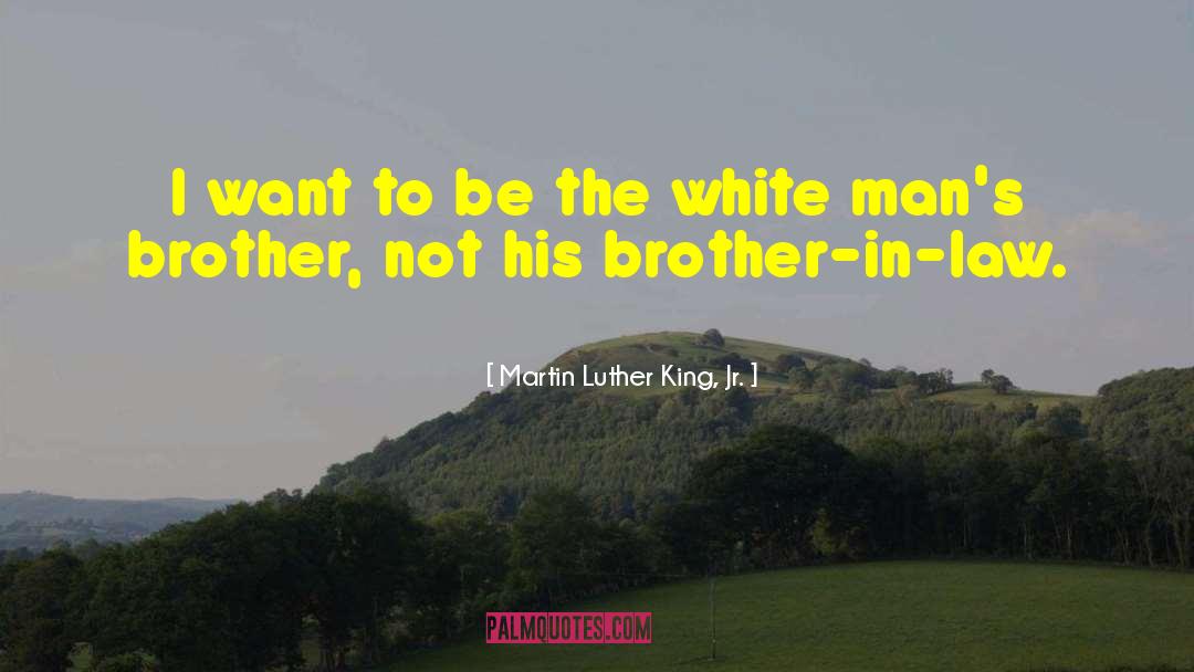 Backstabbing Brother quotes by Martin Luther King, Jr.