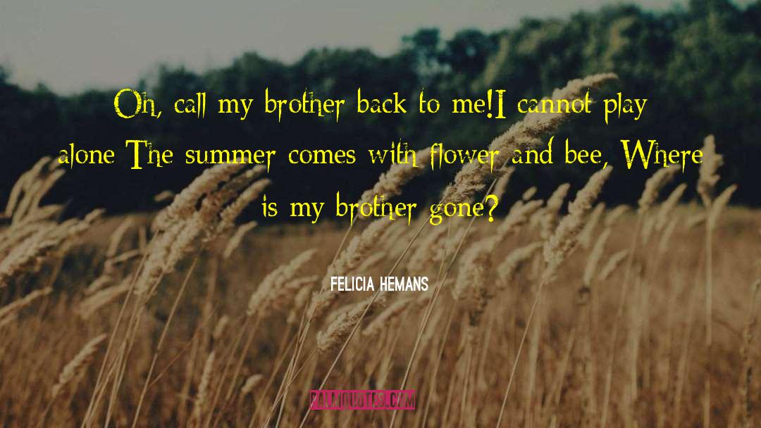 Backstabbing Brother quotes by Felicia Hemans
