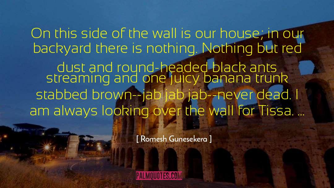 Backyard quotes by Romesh Gunesekera