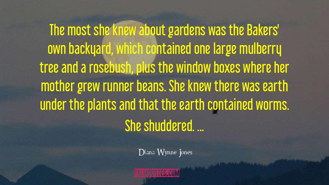 Backyard quotes by Diana Wynne Jones