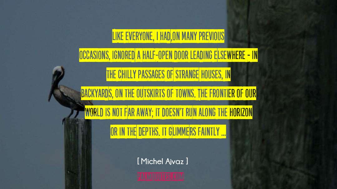 Backyards quotes by Michel Ajvaz