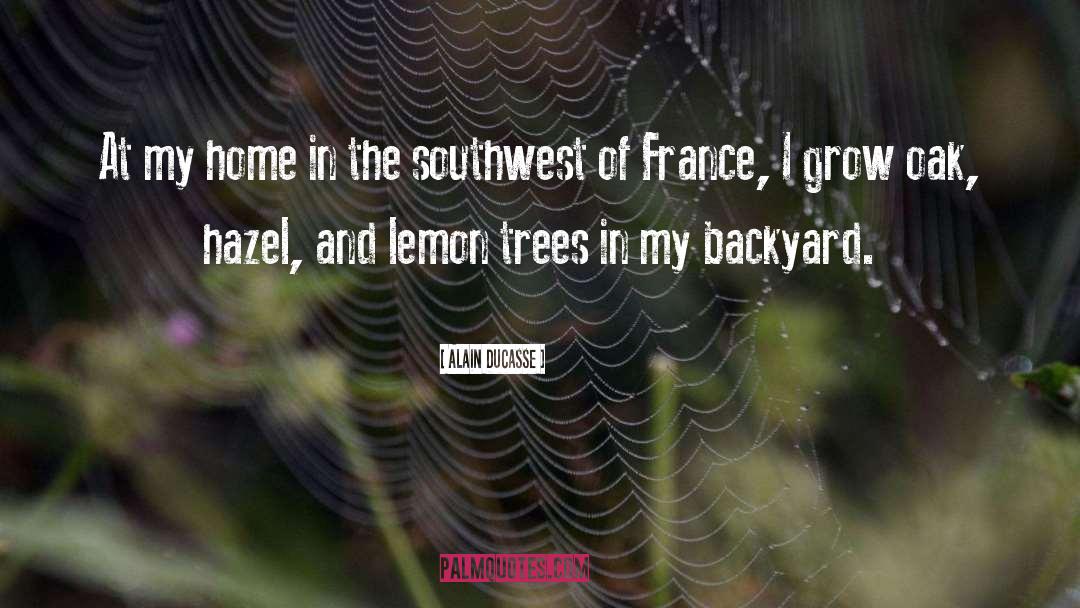 Backyards quotes by Alain Ducasse