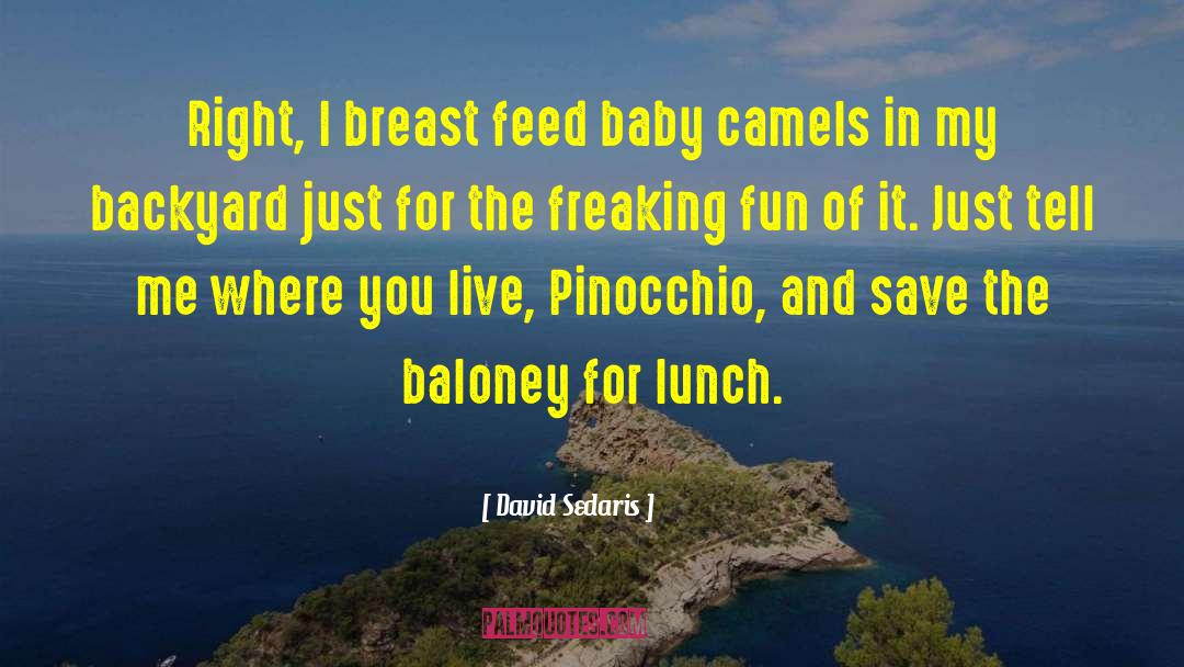 Backyards quotes by David Sedaris