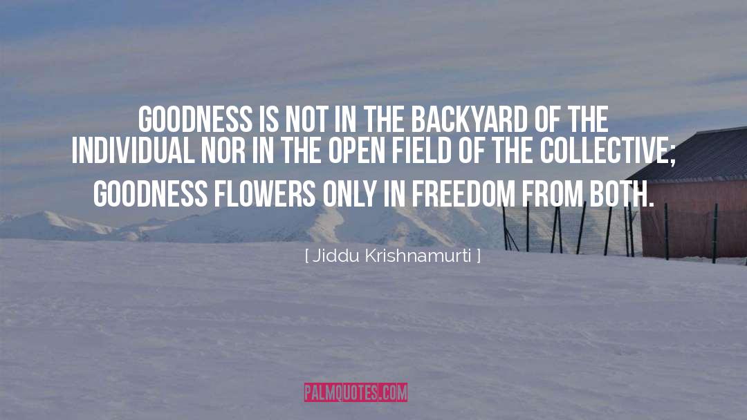 Backyards quotes by Jiddu Krishnamurti