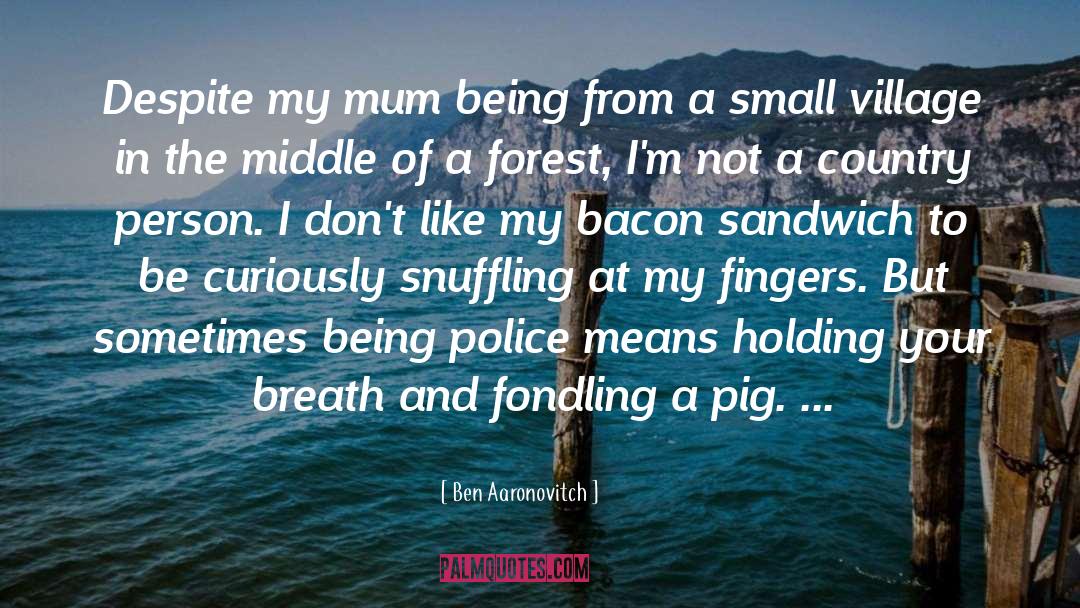 Bacon And Eggs quotes by Ben Aaronovitch