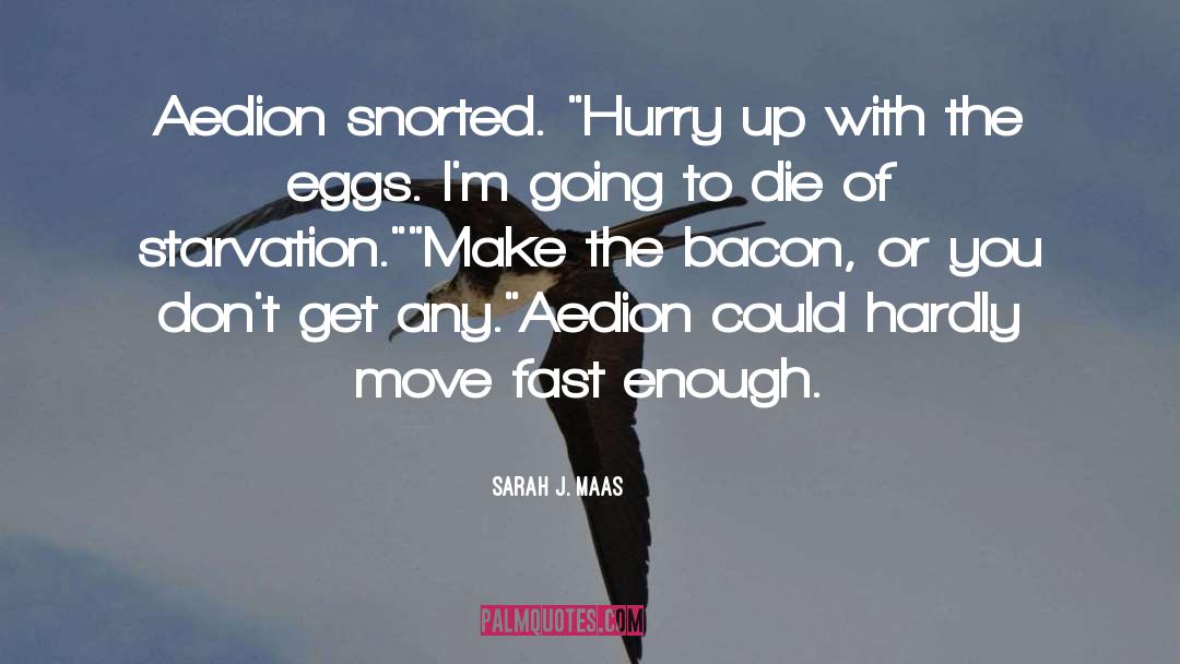 Bacon quotes by Sarah J. Maas