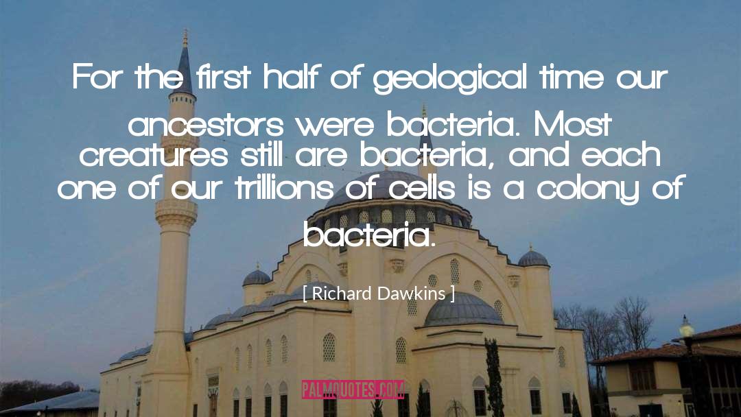 Bacteria quotes by Richard Dawkins
