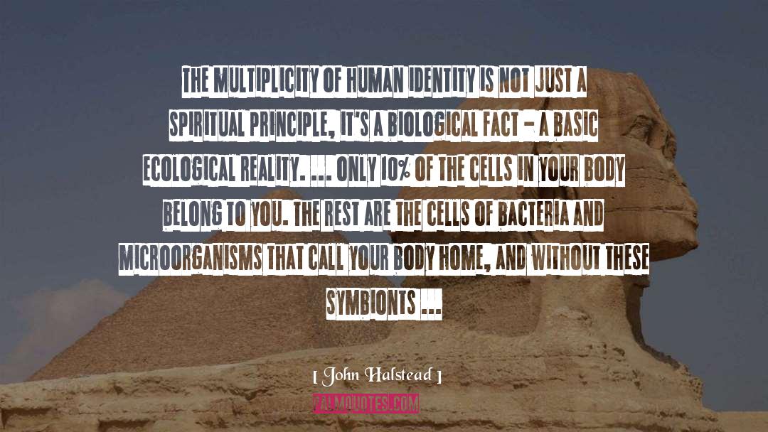 Bacteria quotes by John Halstead