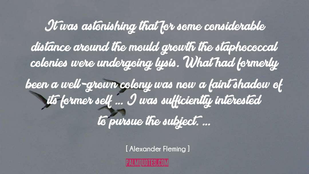 Bacteria quotes by Alexander Fleming