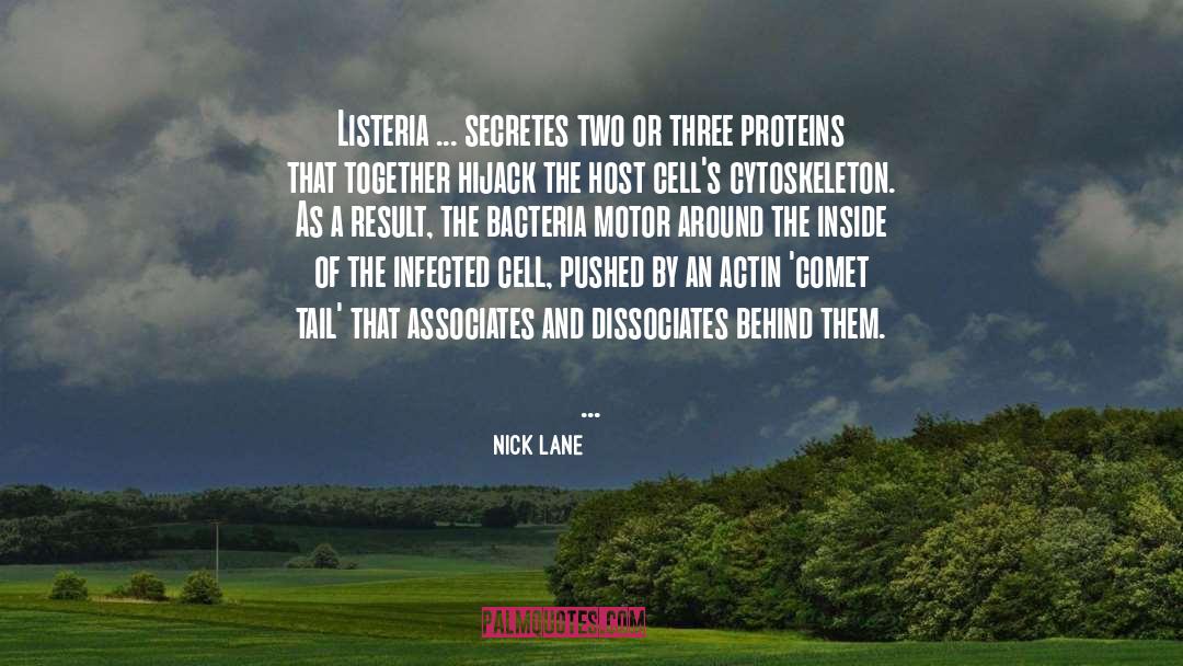 Bacteria quotes by Nick Lane