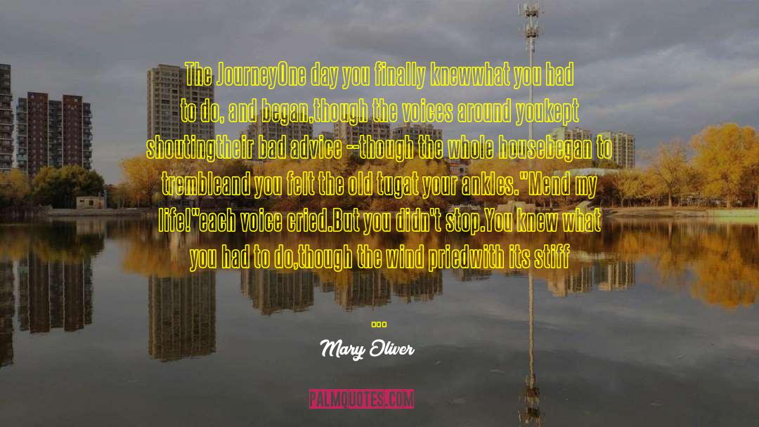 Bad Advice quotes by Mary Oliver
