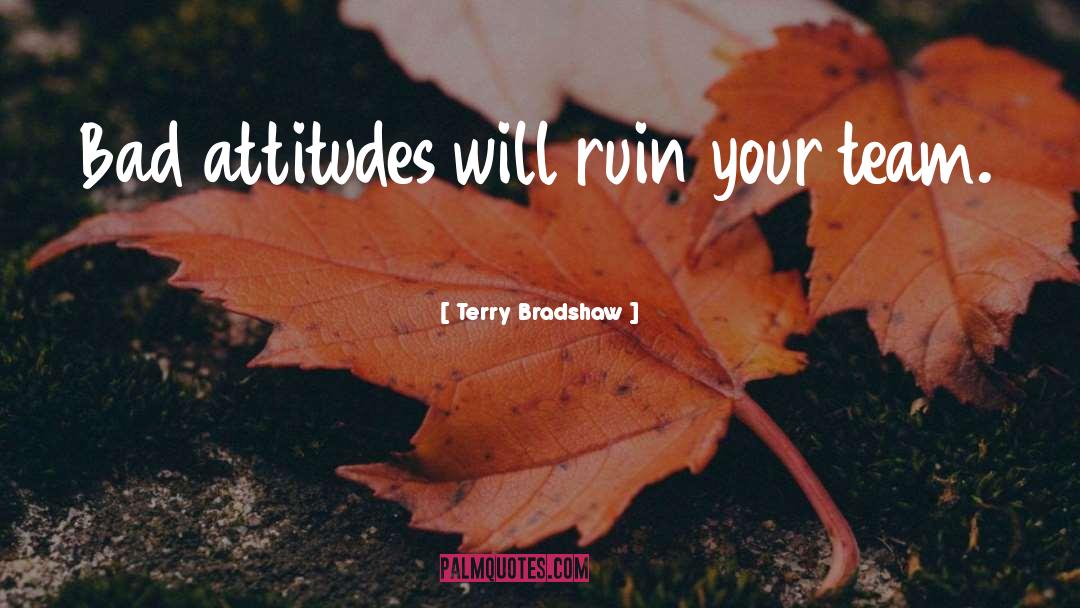 Bad Attitudes quotes by Terry Bradshaw