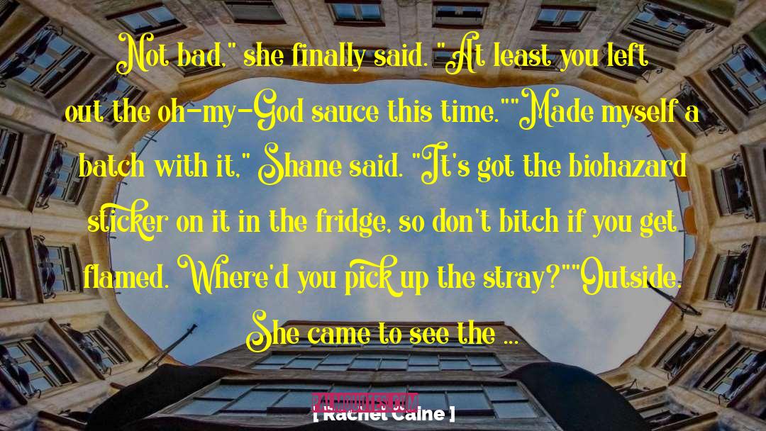 Bad Bank quotes by Rachel Caine