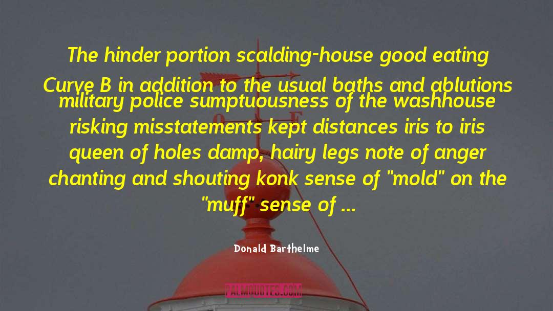 Bad Bank quotes by Donald Barthelme