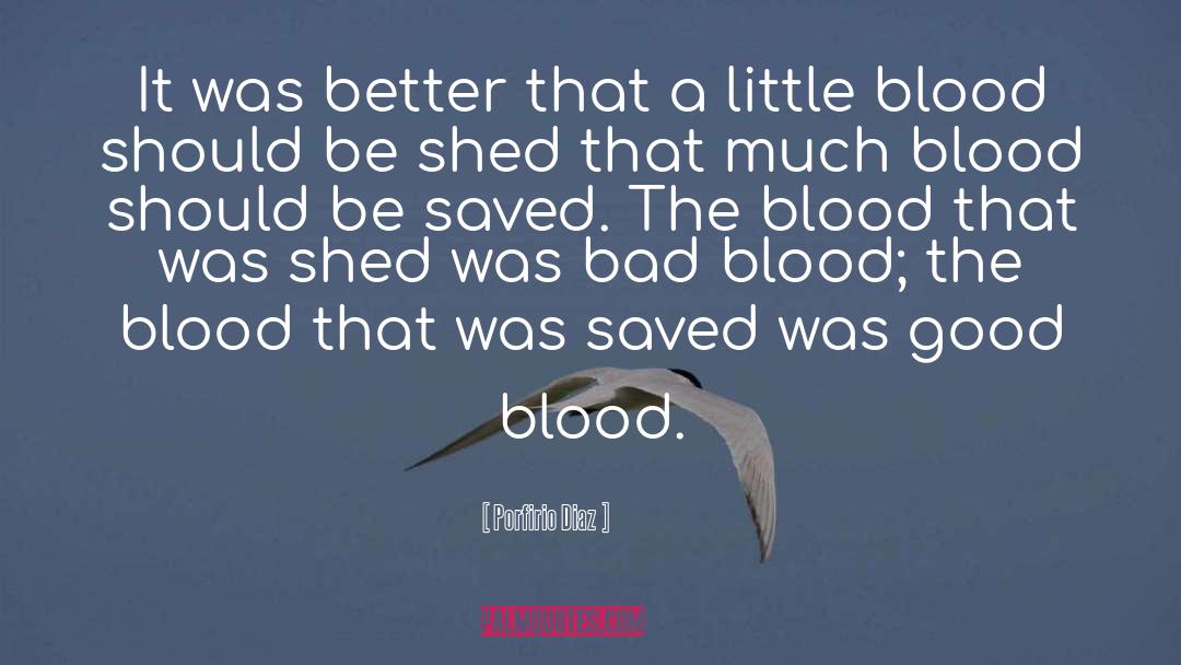 Bad Blood quotes by Porfirio Diaz