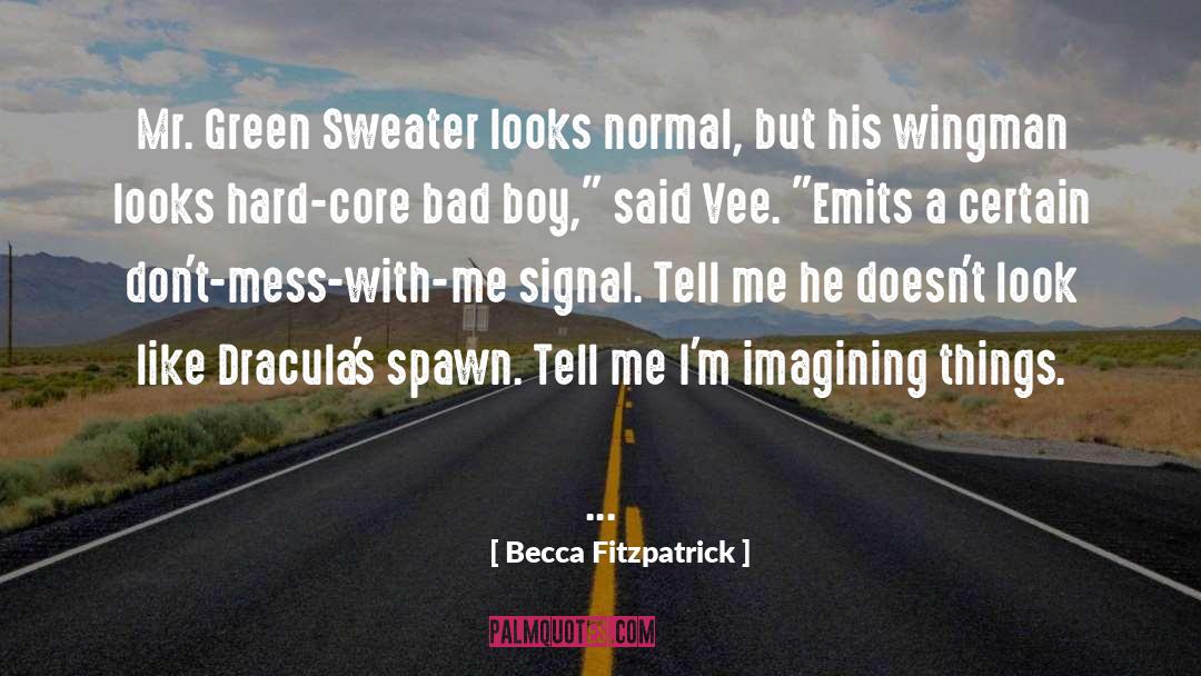 Bad Boy Iamge quotes by Becca Fitzpatrick