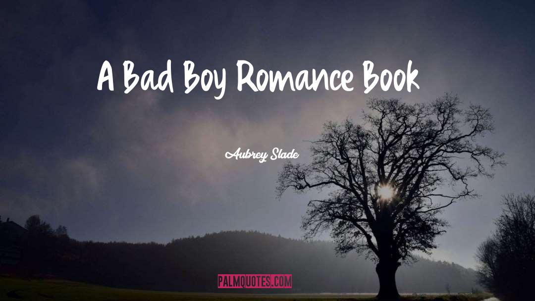 Bad Boy quotes by Aubrey Slade