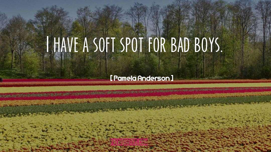 Bad Boy quotes by Pamela Anderson