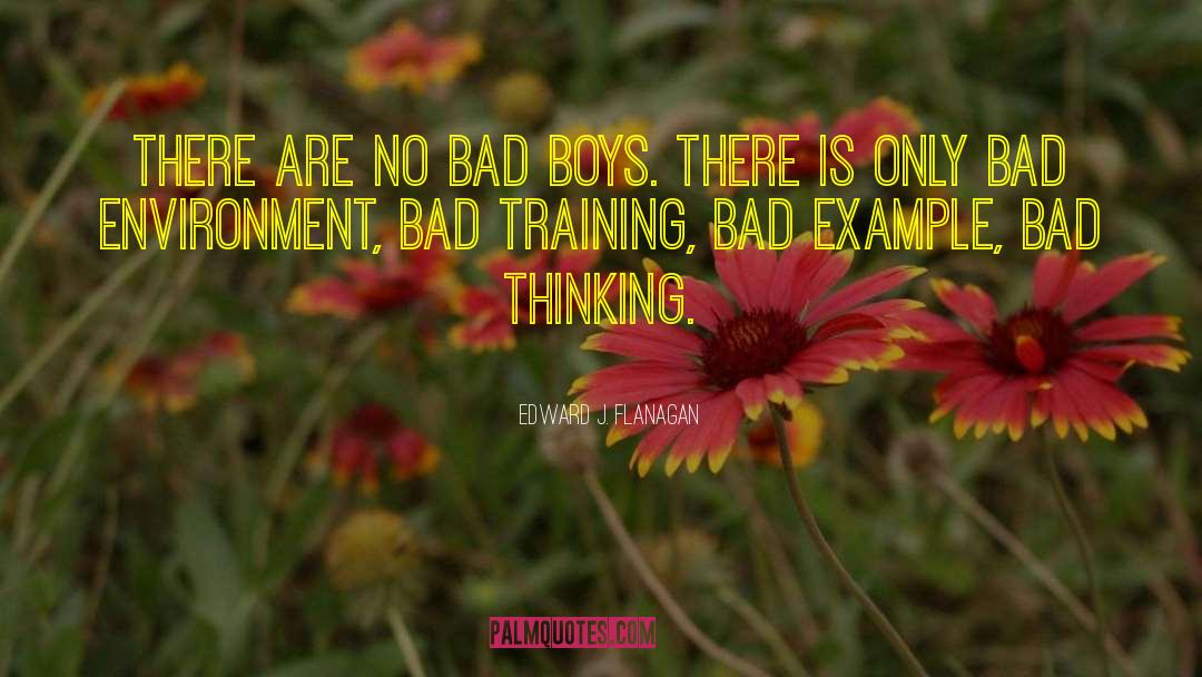 Bad Boys quotes by Edward J. Flanagan