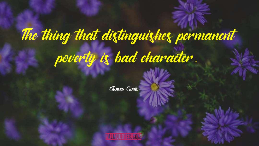 Bad Character quotes by James Cook