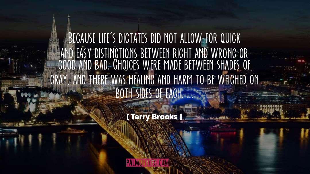 Bad Choices quotes by Terry Brooks
