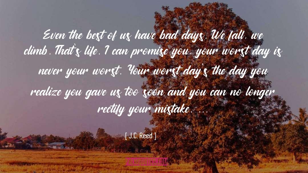 Bad Days quotes by J.C. Reed