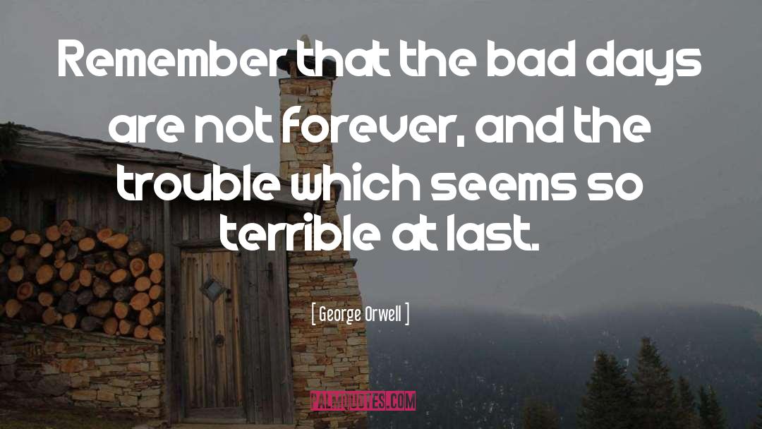 Bad Days quotes by George Orwell