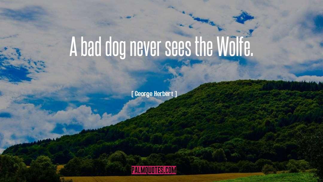 Bad Dog quotes by George Herbert