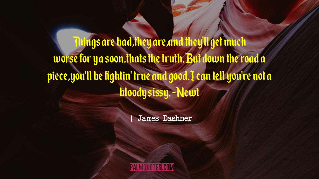 Bad Dog quotes by James Dashner