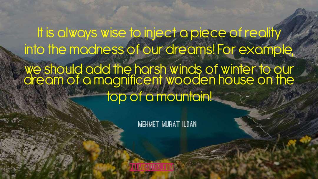 Bad Dream House quotes by Mehmet Murat Ildan