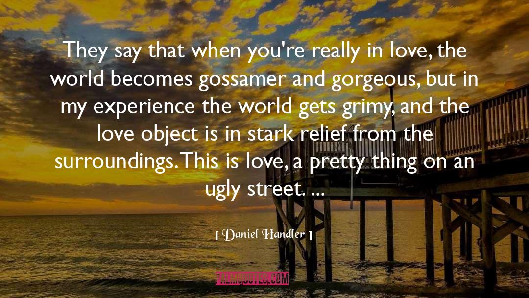 Bad Experience quotes by Daniel Handler