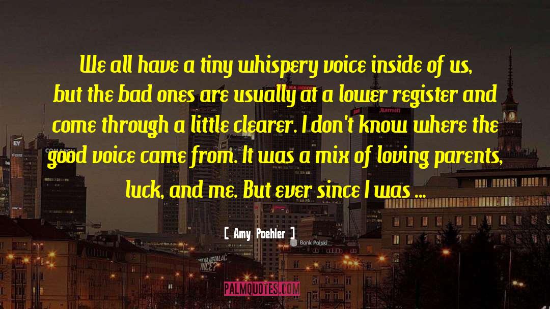 Bad Experiences quotes by Amy Poehler