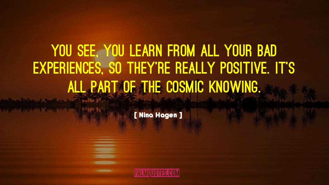 Bad Experiences quotes by Nina Hagen