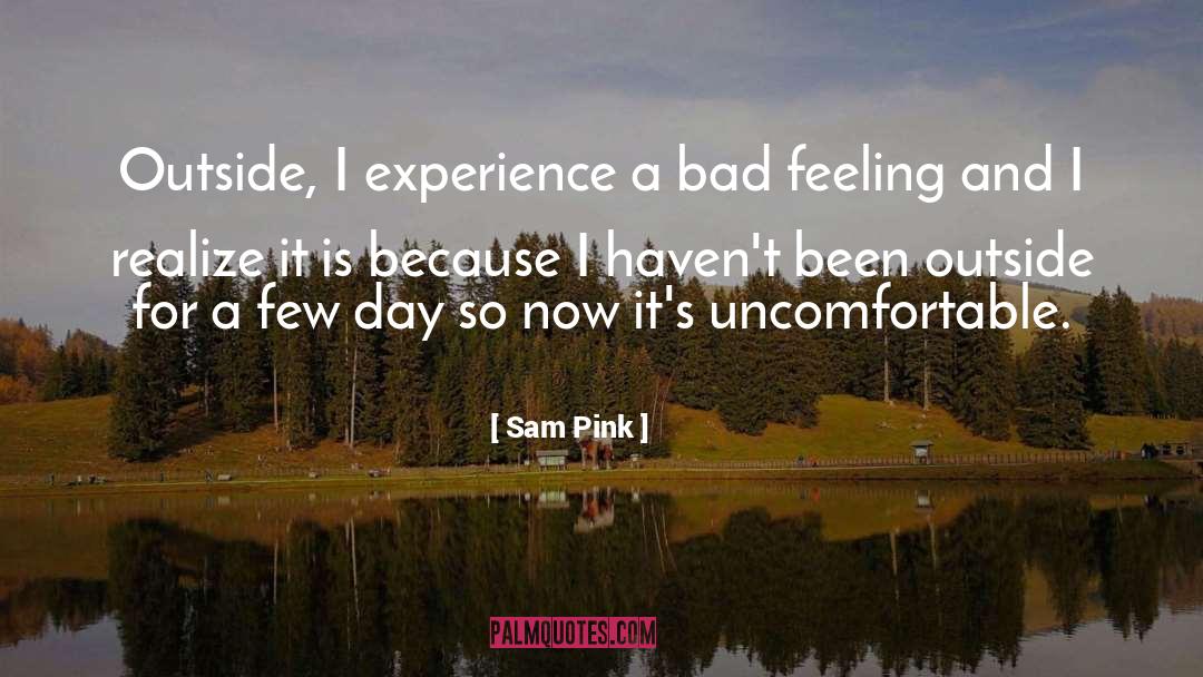 Bad Feeling quotes by Sam Pink